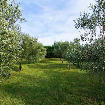 Detached With Private Pool Near Nimes, Cleaning Included Βίλα Montfrin